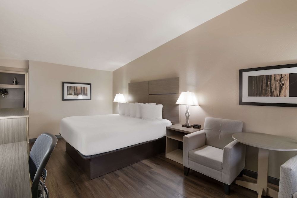 Standard Room, 1 King Bed, Non Smoking, Balcony (Pet Friendly)