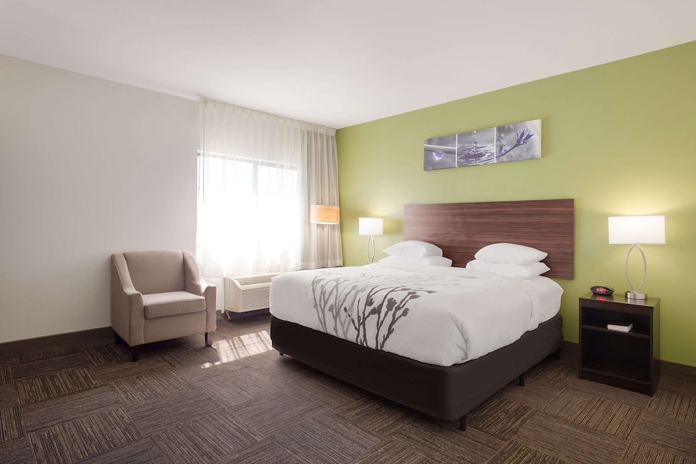Room, 1 King Bed, Non Smoking - Photo 4