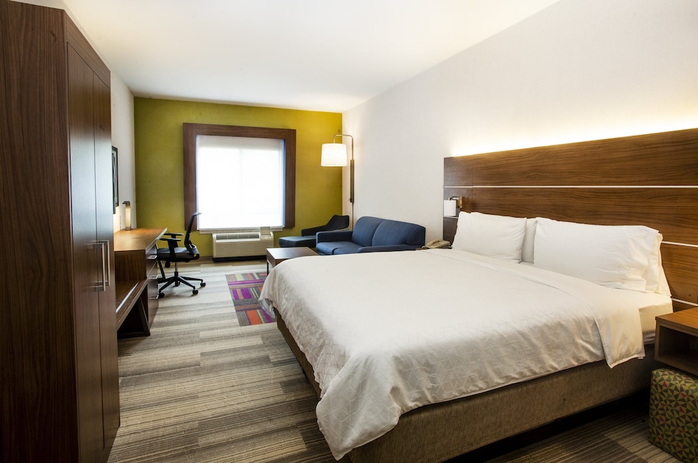 Suite, 1 King Bed with Sofa bed - Photo 1