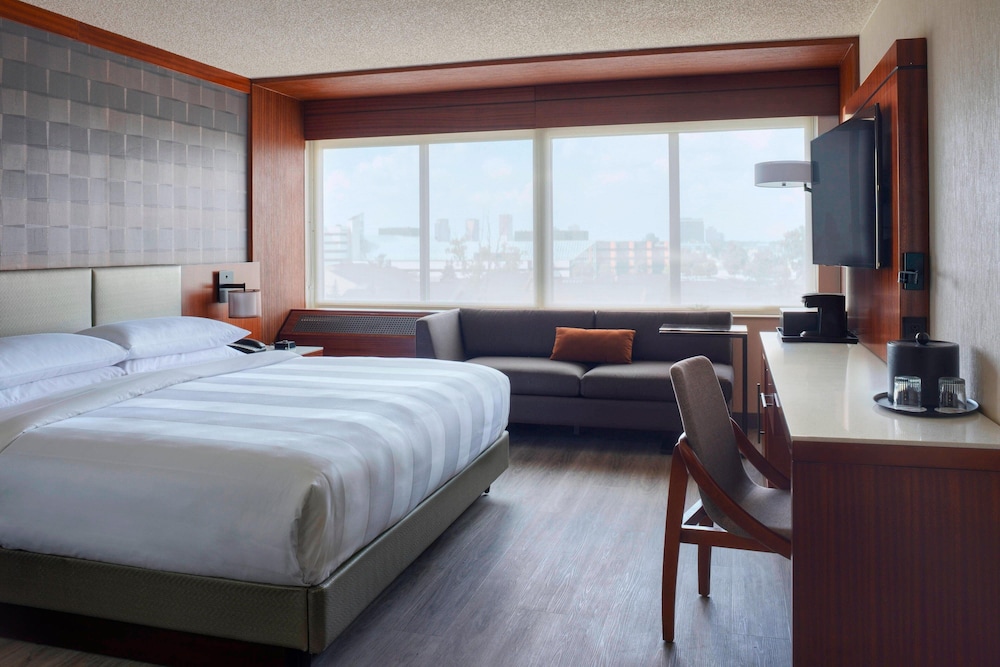 Room, 1 King Bed
