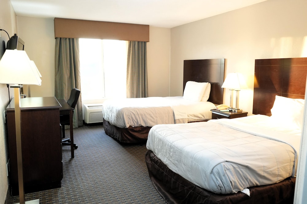 Deluxe Room, 1 King Bed, Non Smoking photo 3