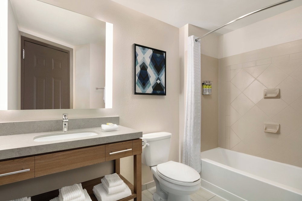 Suite, 1 Bedroom - Photo 4