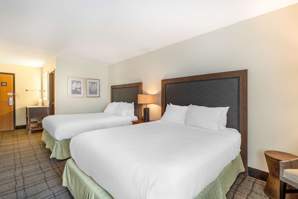 Standard Room, 2 Queen Beds, Non Smoking, Refrigerator - Photo 10