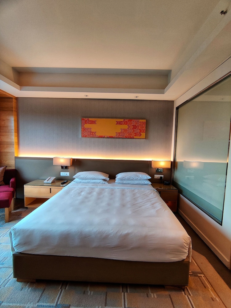 Regency Club with Lounge Access - King Bed photo 2