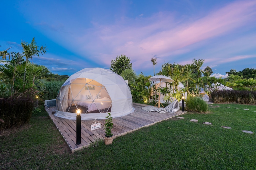 Glamping Dome - Photo 5