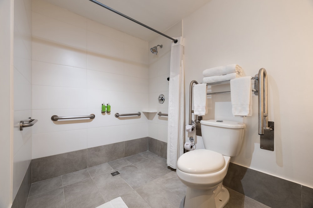 Suite, 1 Queen Bed, Accessible - Photo 18