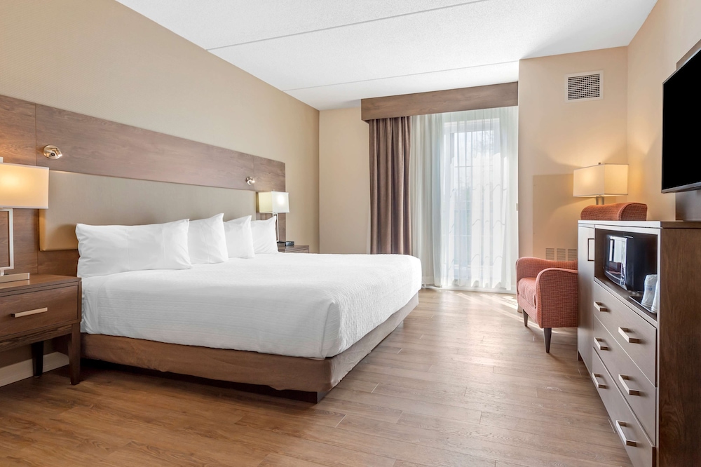 Standard Room, 1 King Bed, Refrigerator & Microwave, Park View photo 1