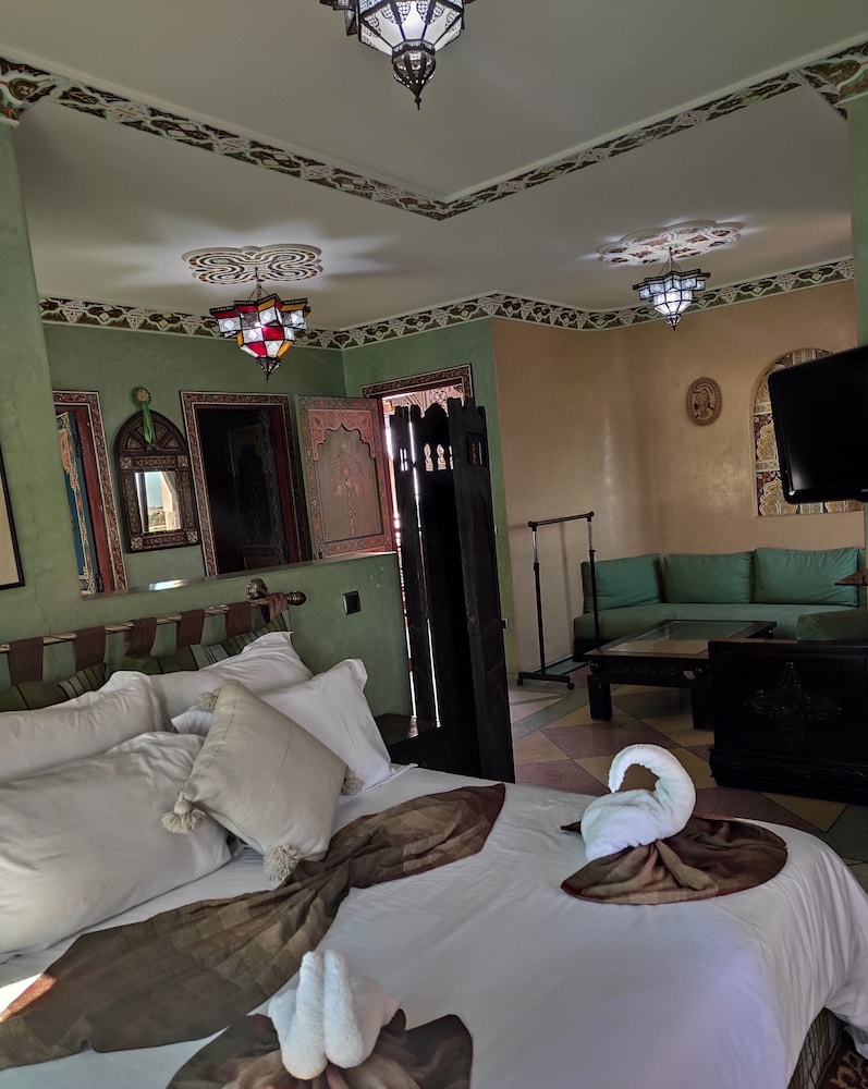 Studio Cheval Anglo-Arabe