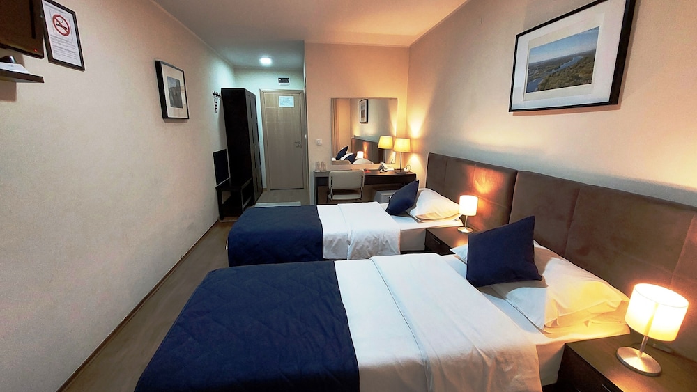 Panoramic Twin Room photo 3