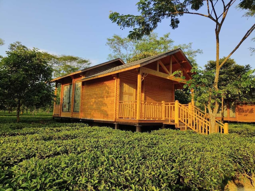 Luxury Chalet, Garden View photo 1