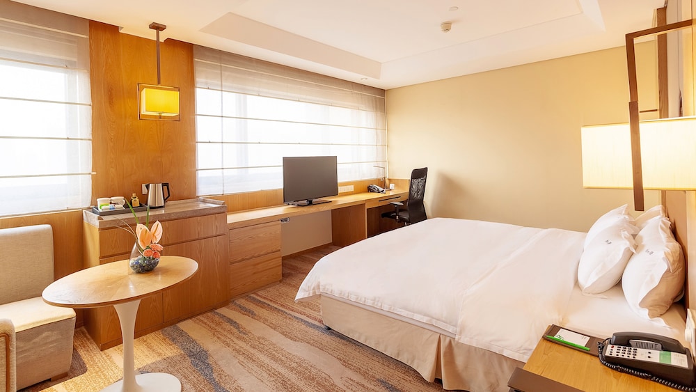 Premium Room, 1 King Bed, Non Smoking (Lounge Access) - Photo 4