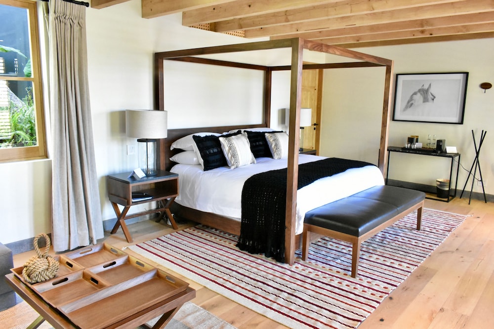 Suite 5 photo 1