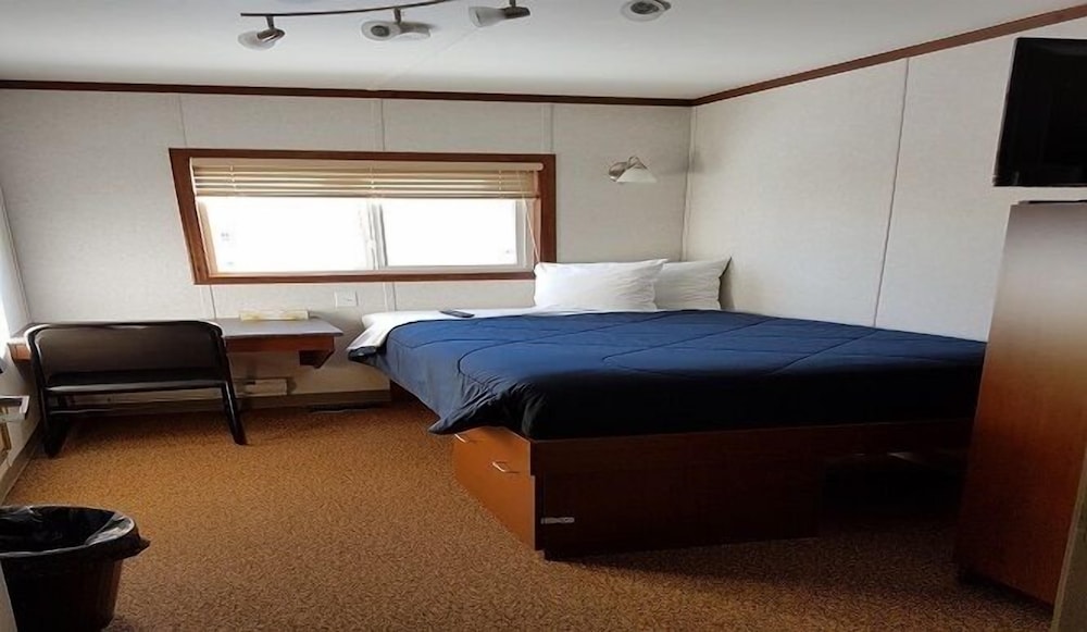 Junior Single Room photo 1