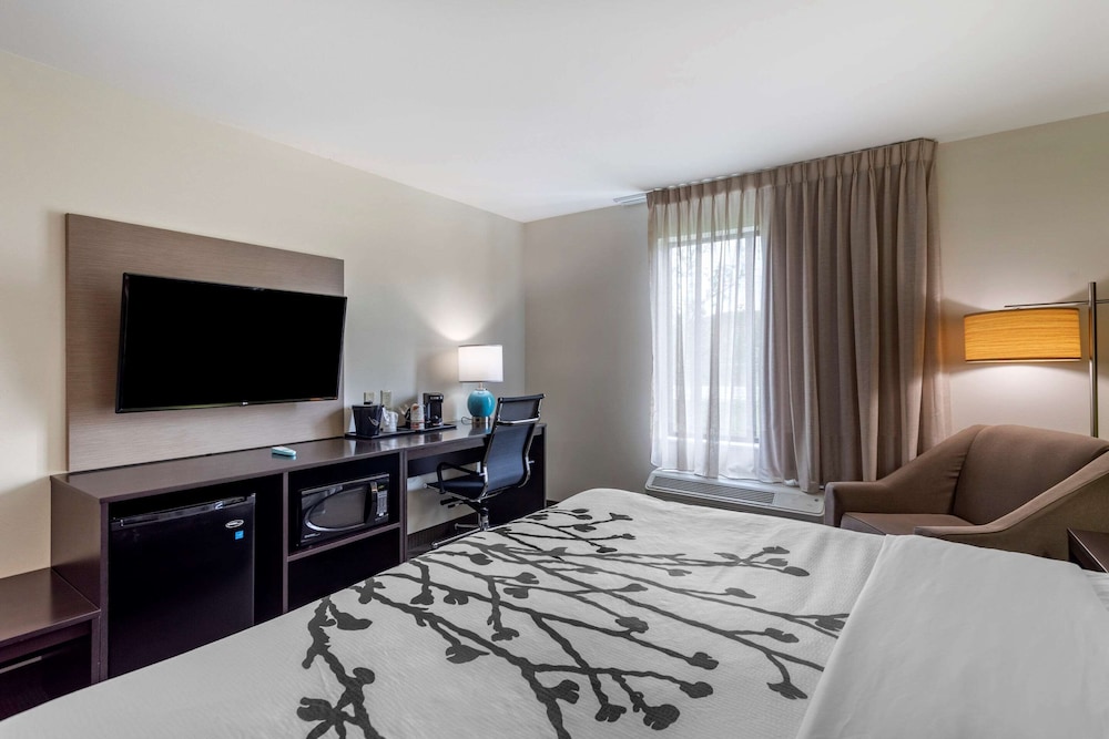 Standard Room, 1 King Bed, Non Smoking - Photo 2