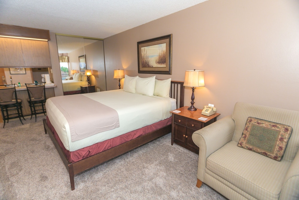 Standard Studio, 1 King Bed, Kitchenette, Pool View (Studio Unit- Room 202-No Pets) - Photo 4