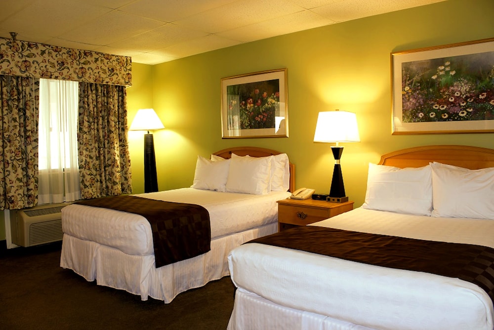 Double Room, 2 Double Beds - Photo 2