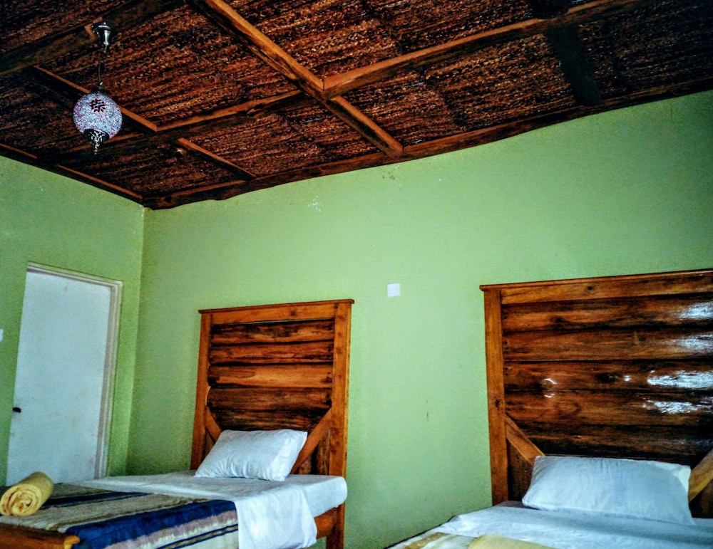 Twin Room photo 3