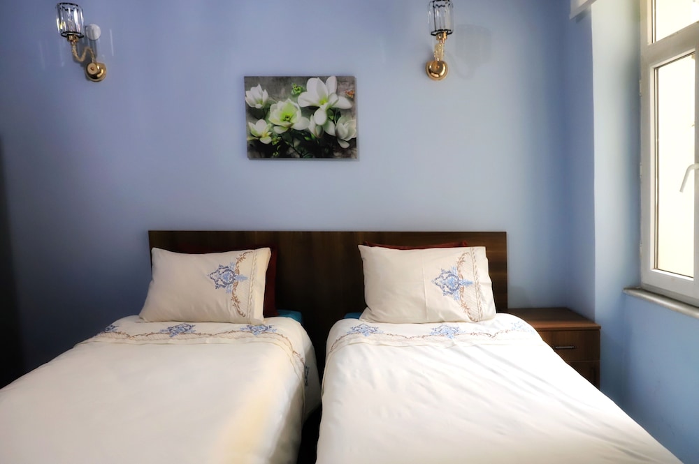 Deluxe Double or Twin Room photo 1