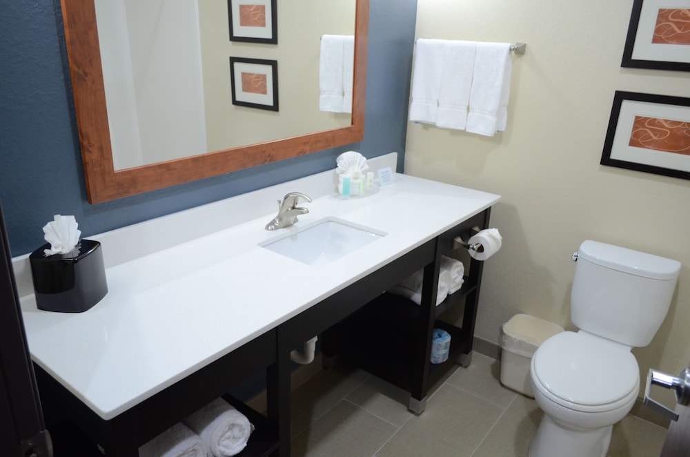 Comfort Suites Northwest - Cy - Fair, 사진 2