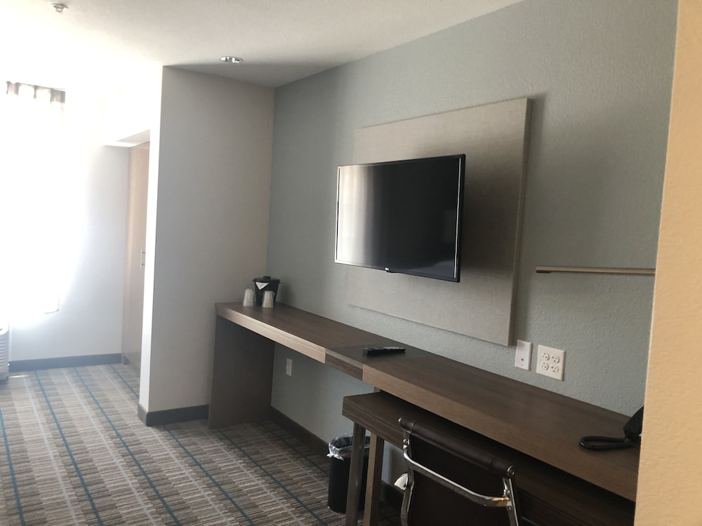 Suite, 1 King Bed, Non Smoking (Efficiency) - Photo 5