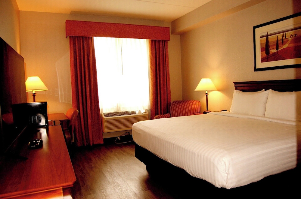 Standard Room, 1 King Bed with Sofa bed, Mobility Accessible