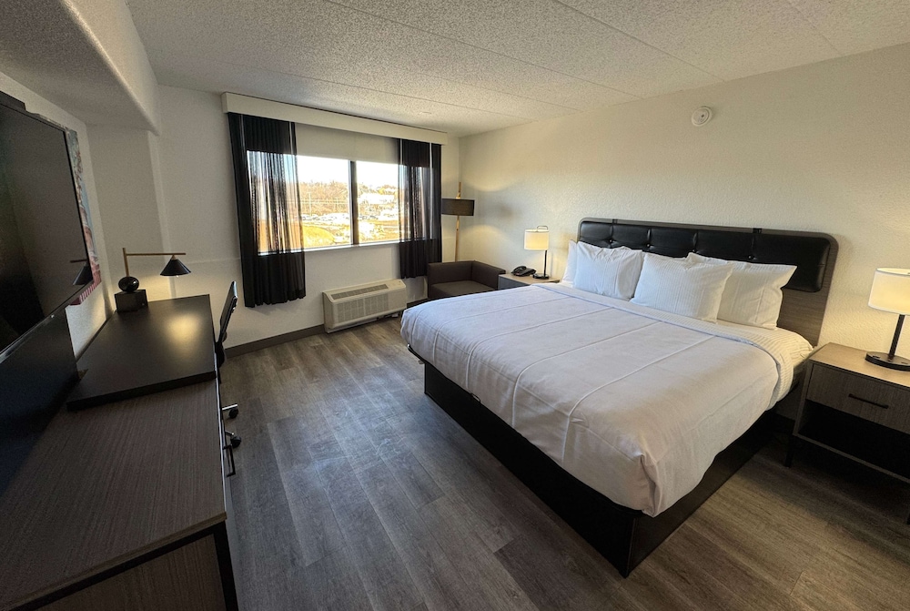 Room, 1 King Bed, Mobility Accessible, Non Smoking (Roll-In Shower) - Photo 13