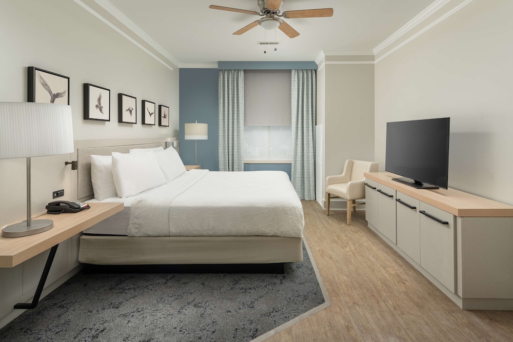 Suite - Photo 1
