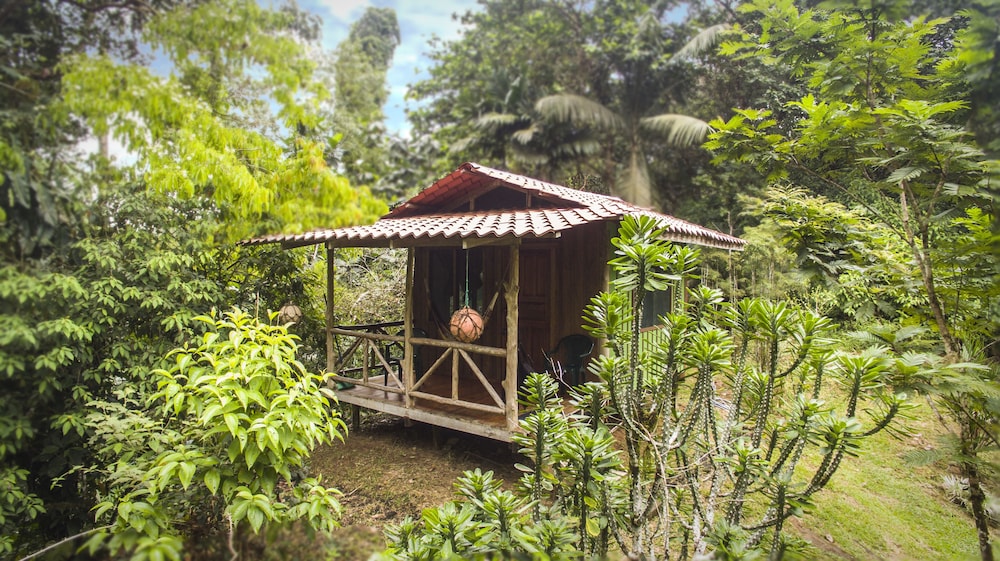 Tucan Private Family Cabana W/ Balcony (No Hot Water) photo 2