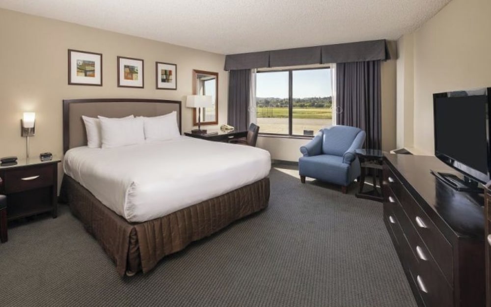 Standard Room, 1 Queen Bed, Roll-in Shower photo 1
