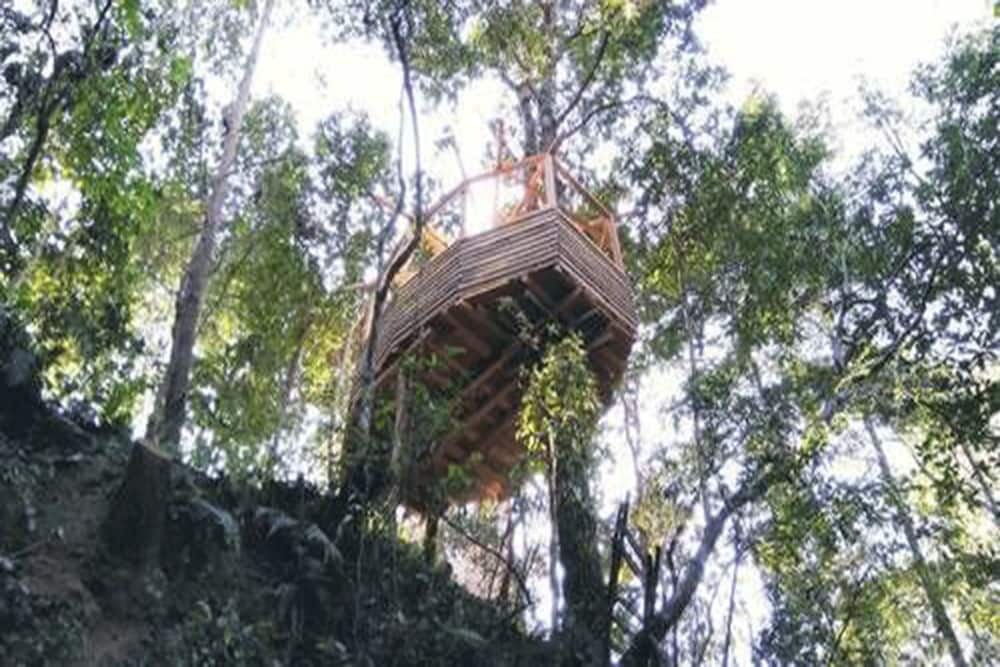 Classic Tree House, 1 Bedroom photo 1
