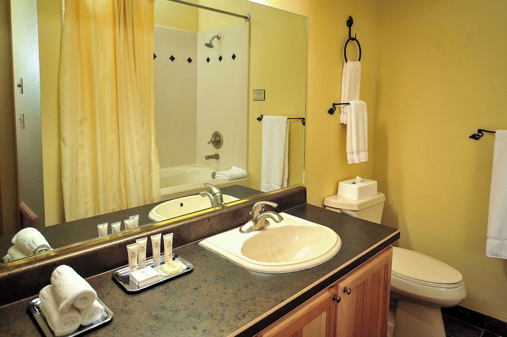 1 Bedroom 1 King Suite with Sofabed - Photo 4
