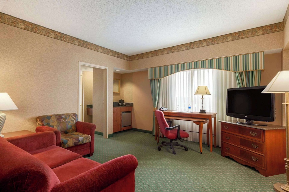 Suite, 1 Bedroom - Photo 1