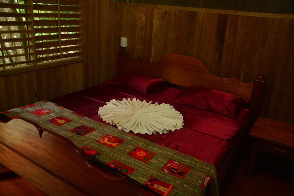 Room, 1 King Bed photo 1