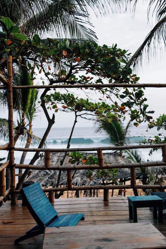 Palapa - Photo 13