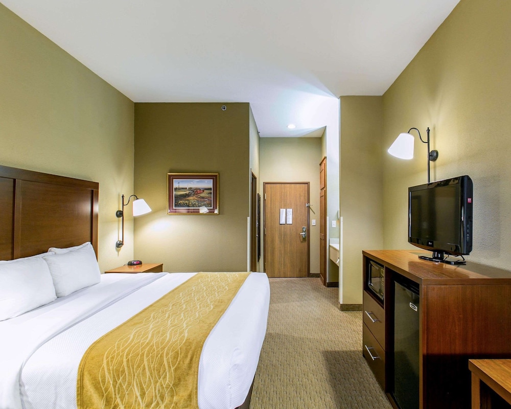 Standard Room, 1 King Bed with Sofa bed, Non Smoking - Photo 3