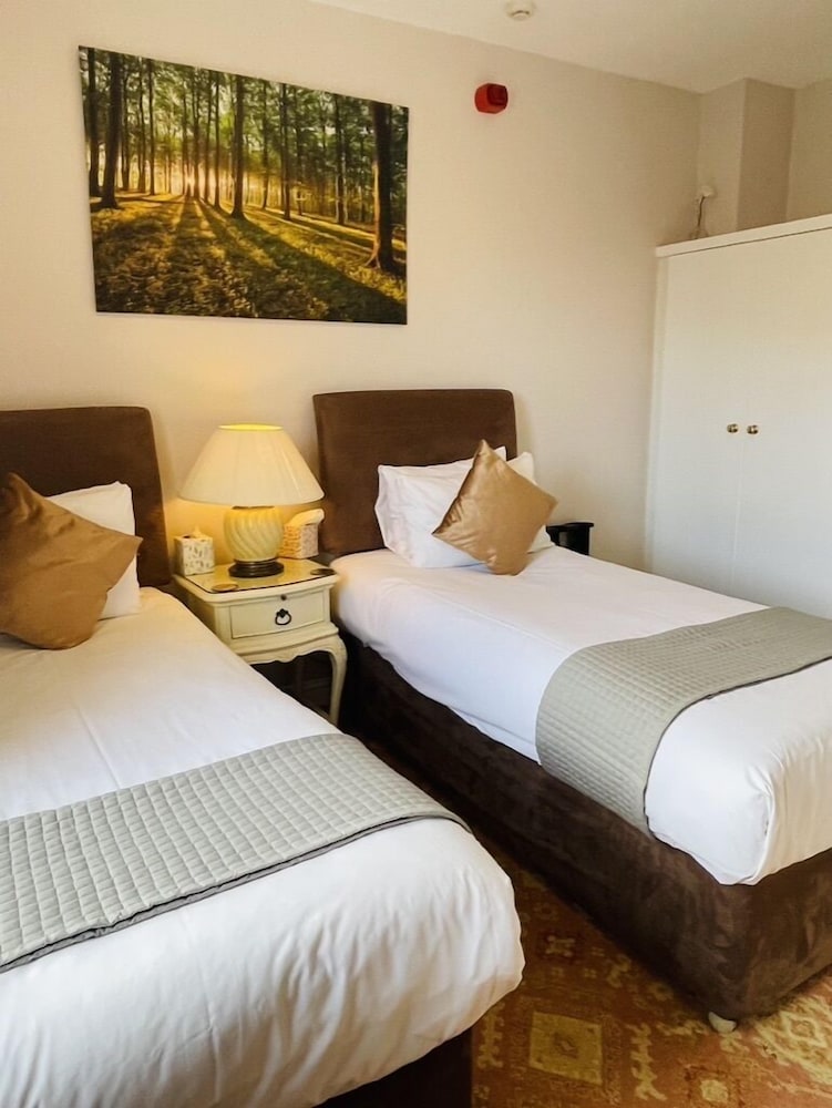 Deluxe Twin Room, 2 Twin Beds, Non Smoking, Mountain View photo 1