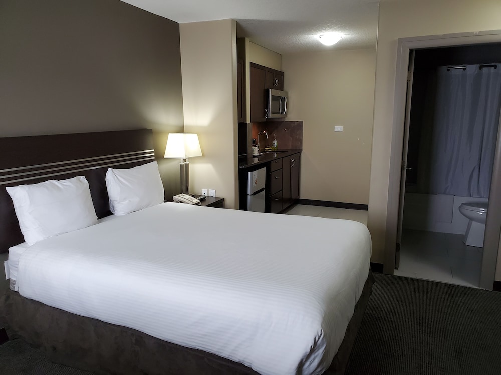 Standard Single Room, 1 Queen Bed photo 2
