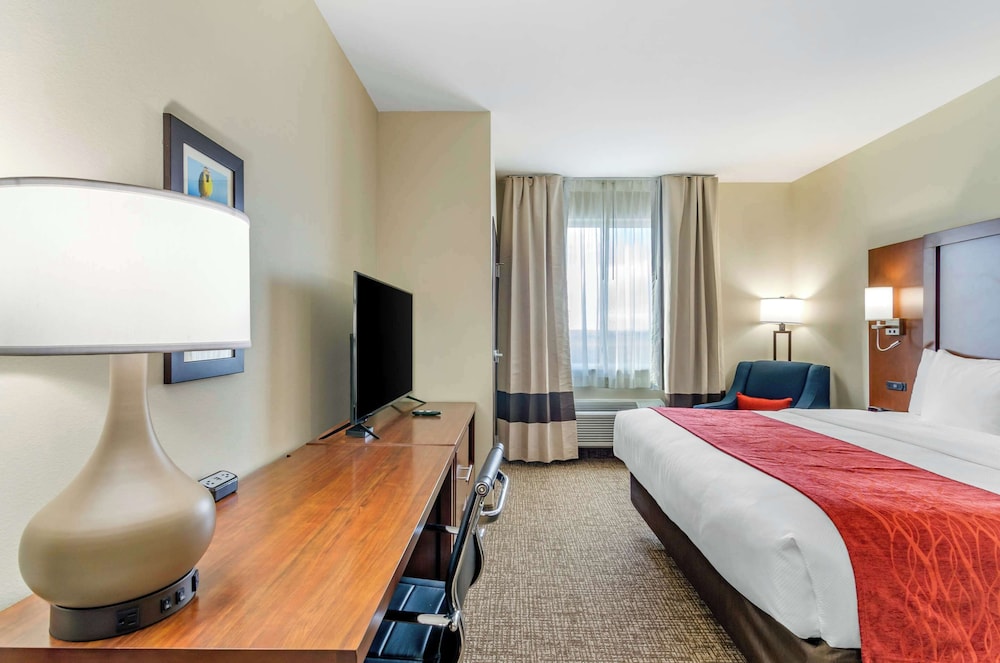 Room, 1 King Bed, Non Smoking (Wet Bar) photo 3