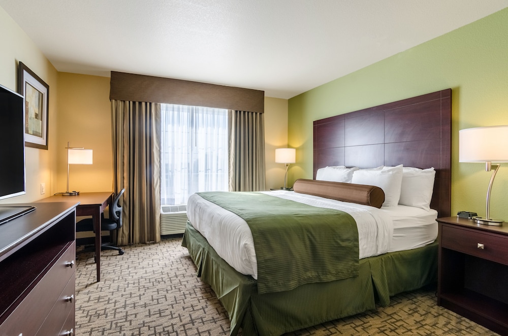Suite, 1 King Bed with Sofa Bed, Accessible Shower, Non Smoking photo 2
