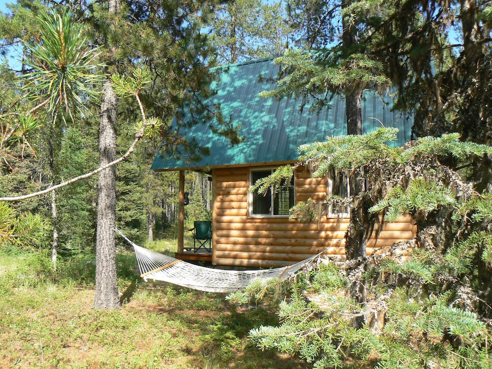 Cabin, Multiple Beds (Little Grizz) photo 3