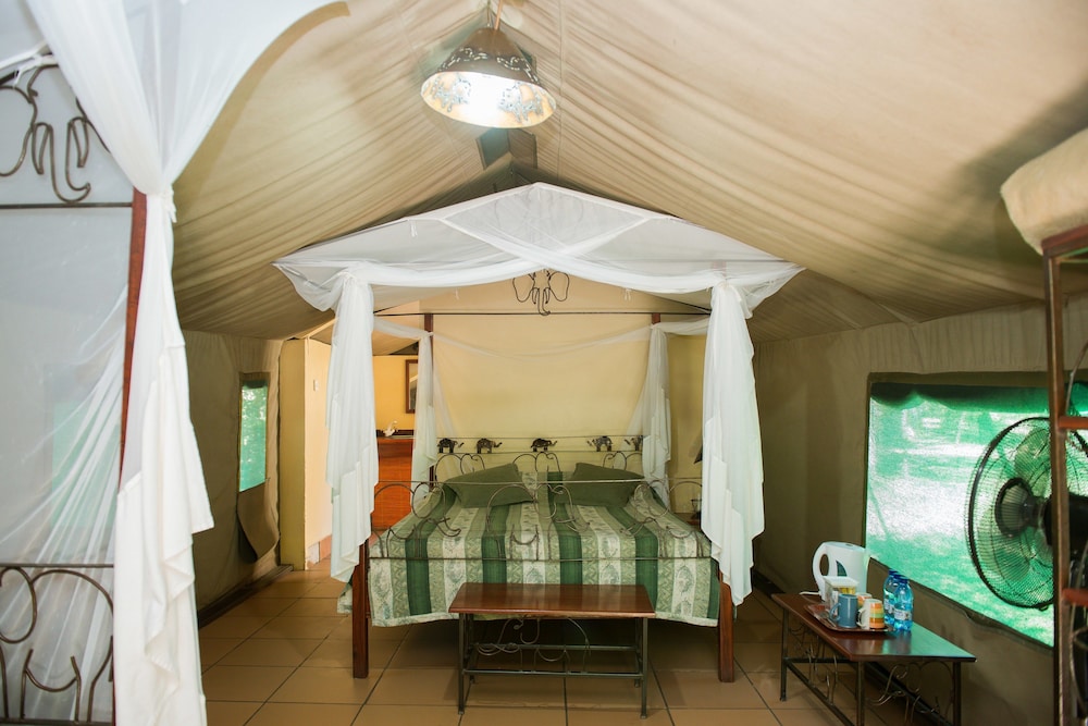Basic Tent photo 2