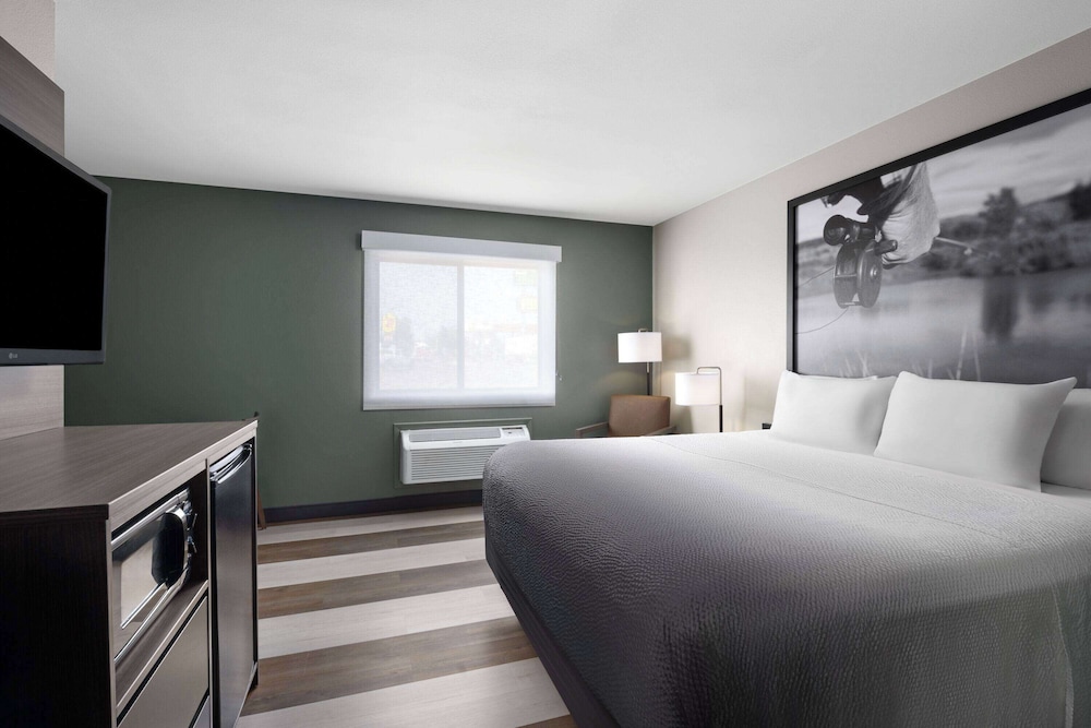 Room, 1 King Bed - Photo 4