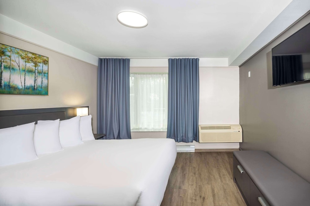 Superior Suite (two queen beds)