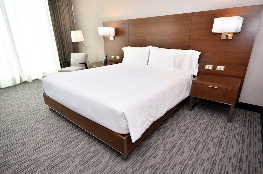 Room, 1 King Bed, Accessible photo 2