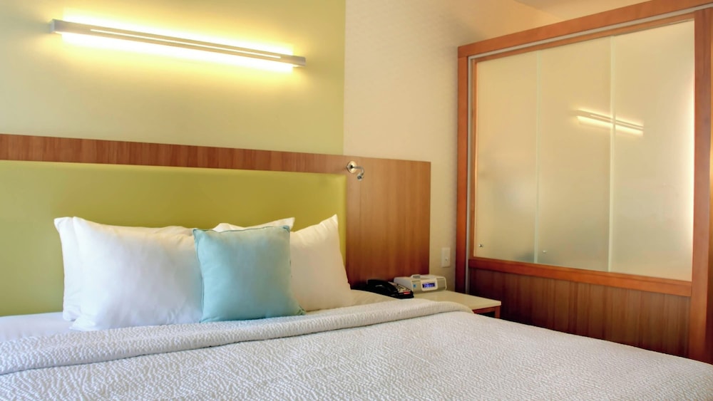 Suite, 1 King Bed with Sofa bed (Hearing Accessible)