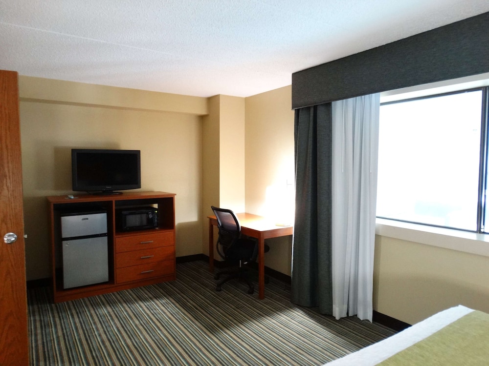 Suite, 1 Queen Bed, Accessible, Refrigerator & Microwave (with Sofabed) - Photo 3