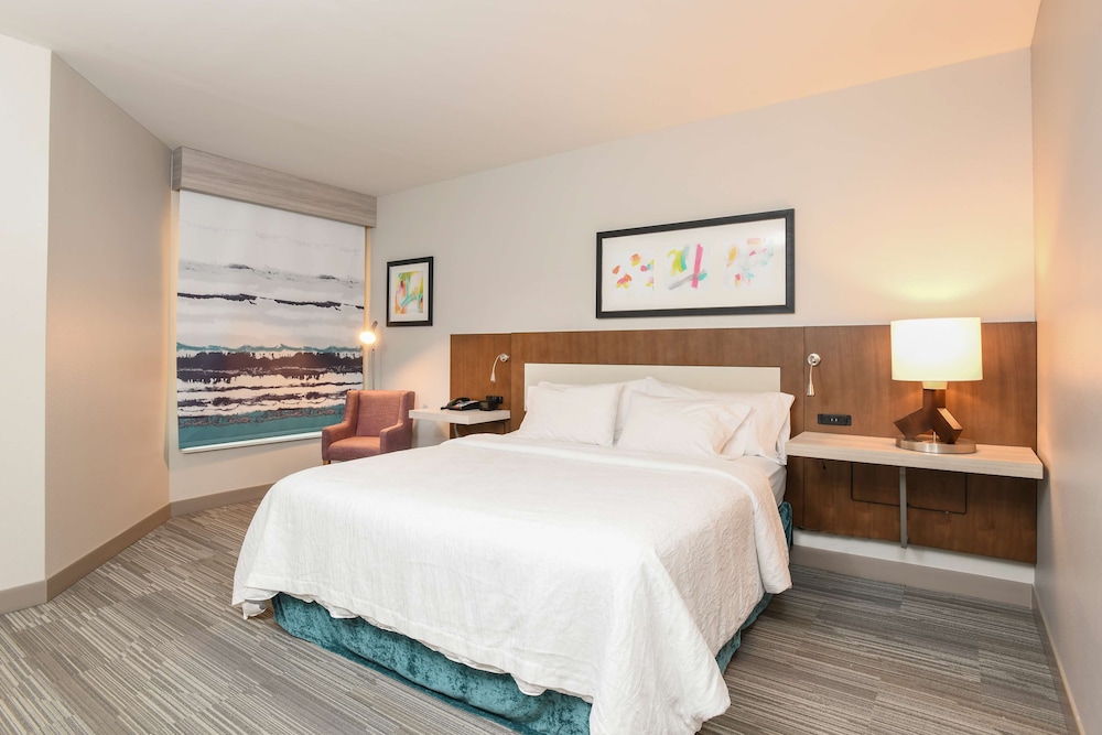 Room, 1 King Bed, Accessible (3x3 Shower) photo 1