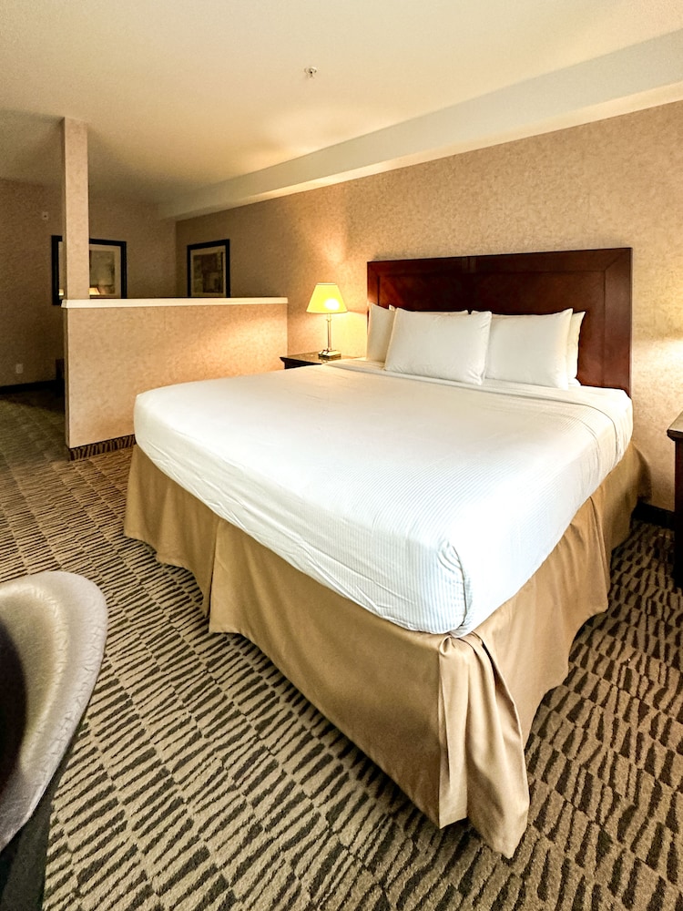 Executive Room, 1 King Bed with Sofa bed, Non Smoking - Photo 1