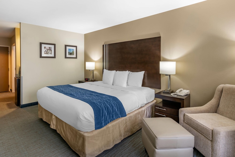 Room, 1 King Bed, Non Smoking (Pet Friendly) - Photo 2