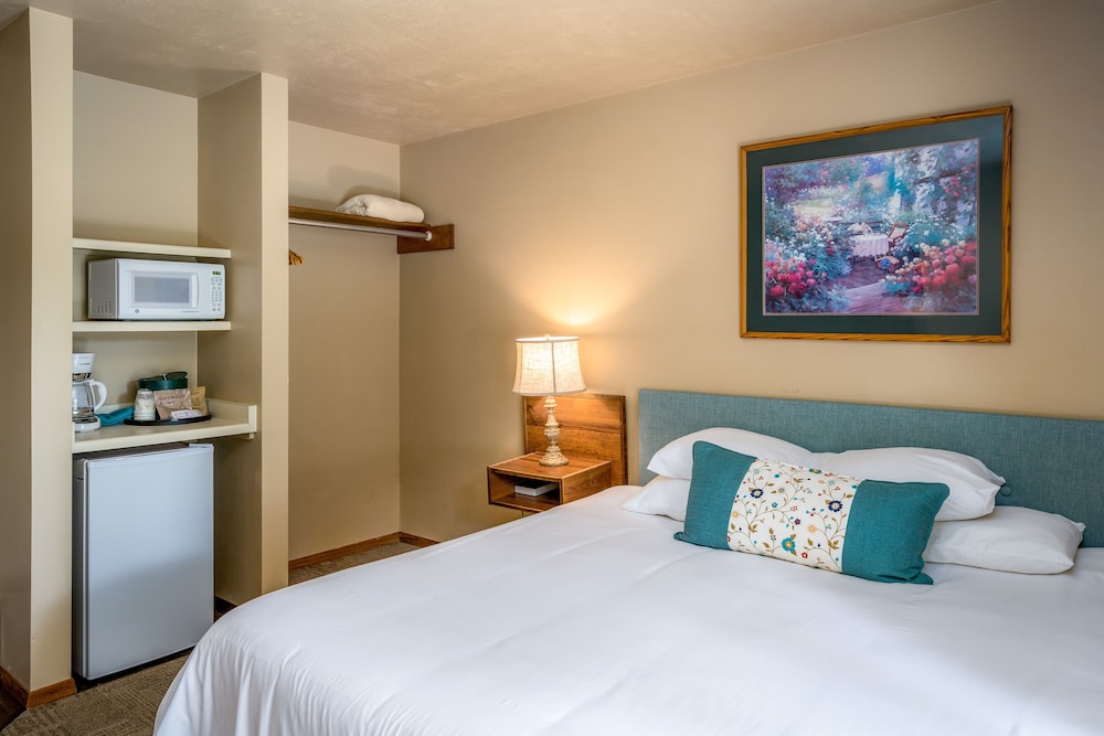 Standard Single Room, 1 Queen Bed (No Pets) photo 3